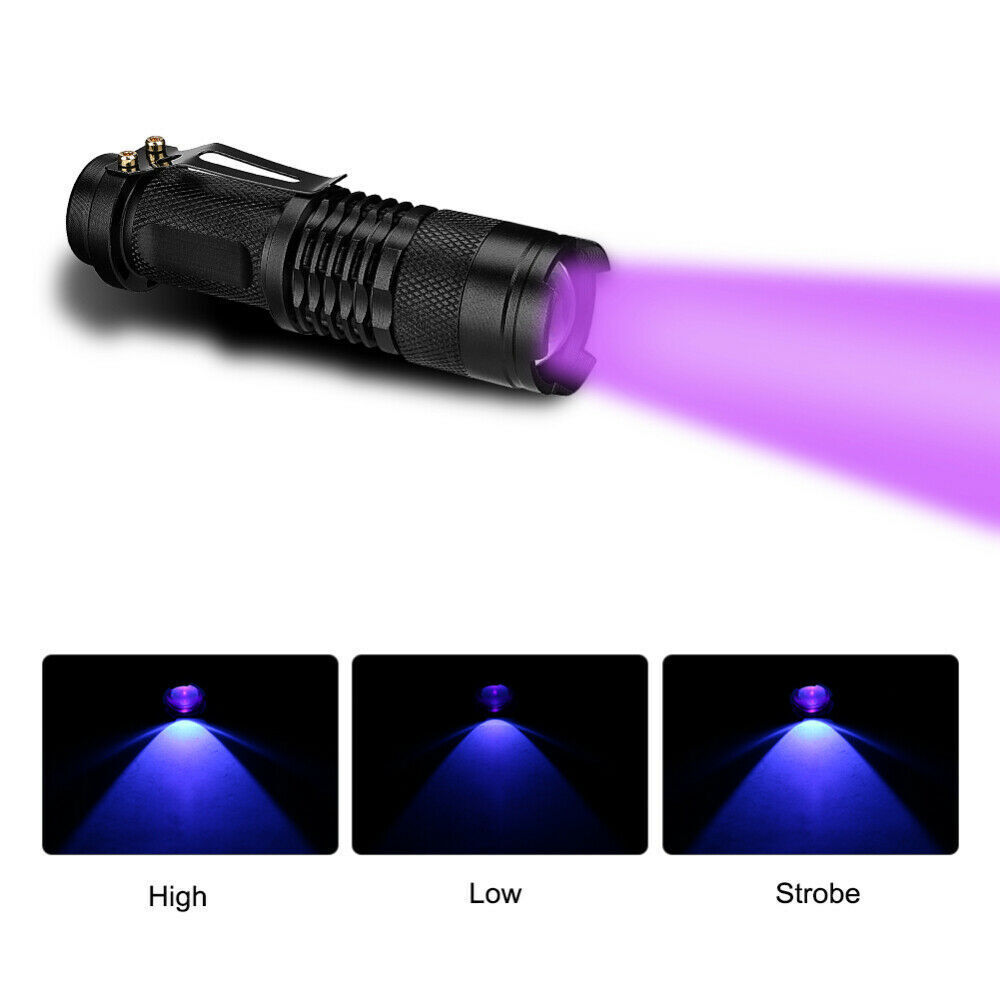 2 Pack UV Flashlight LED Handheld Blacklight Ultra Violet Flashlight 395nm Mini Light Inspection Lamp Torch Detector For Dog Pet Urine Stains, Bed Bugs And Scorpions - Image 4