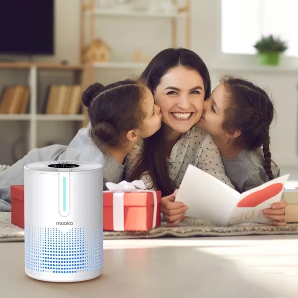 H13 HEPA Air Purifier for Bedroom 430 Sq.Ft, Portable USB, Fragrance Sponge for Pets Dust Odors, for Desktop Car RV - Image 5